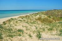 Pescoluse Mare e sabbia