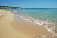 mare pescoluse