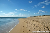 pescoluse la spiaggia e il mare
