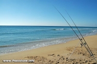 pesca sportiva pescoluse nel salento