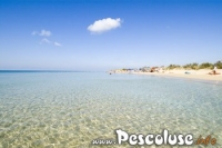 il mare a Pescoluse