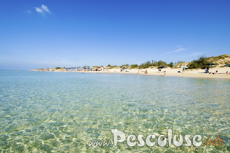 foto-pescoluse-puglia