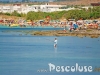 pesca-a-pescoluse-lecce