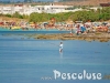 pesca-a-pescoluse-lecce