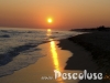 tramonto-spiagge-pescoluse-lecce