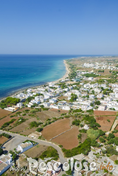 Foto aerea spiaggia di Pescoluse
