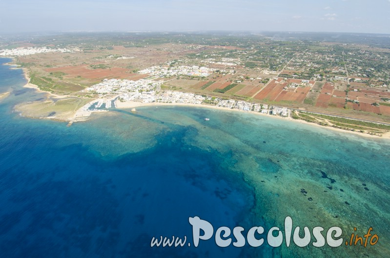 Foto al volo spiaggia di torre pali 