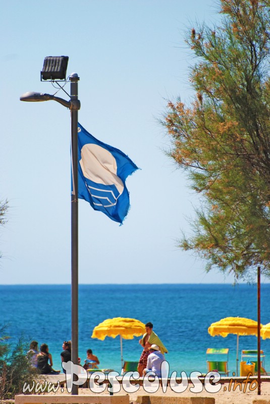 Spiaggia Pescoluse Bandiera Blu