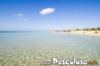 Spiaggia Pescoluse