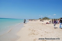 Spiaggia di Pescoluse 25 Aprile