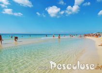Spiaggia di Pescoluse nel Salento