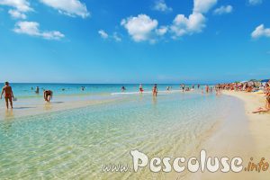 Spiaggia di Pescoluse nel Salento