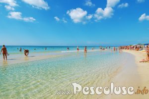 Spiaggia di Pescoluse nel Salento